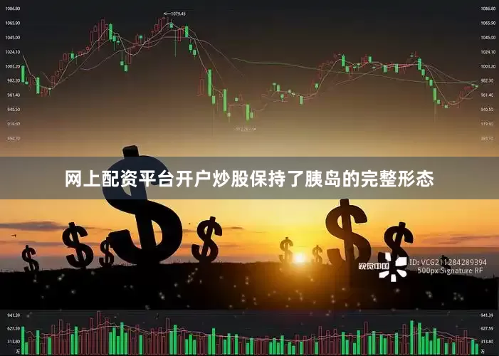 网上配资平台开户炒股保持了胰岛的完整形态
